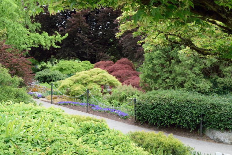 Large Quarry Garden