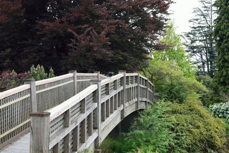 Large Quarry Garden