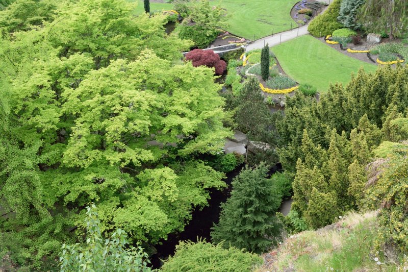 Large Quarry Garden