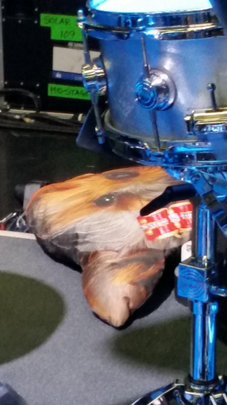 Marco Minnemanns special pillow