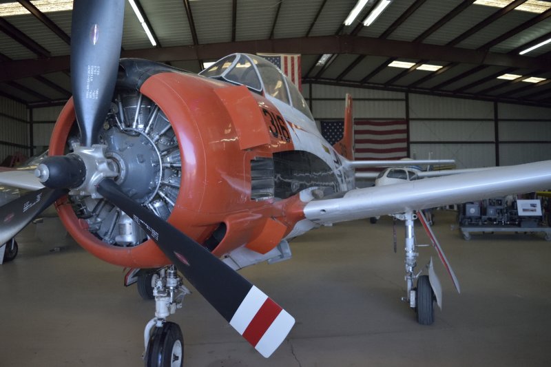 MOD_DSC0799_522_1920.JPG