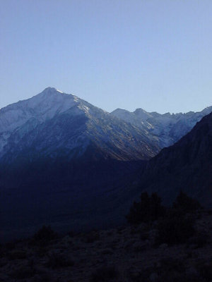 Misc Sierra Nevada