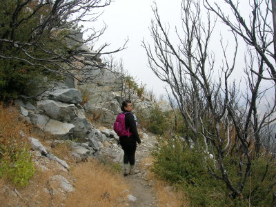 Mount Lowe Trail