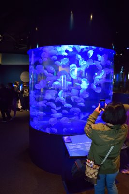 Vancouver Aquarium