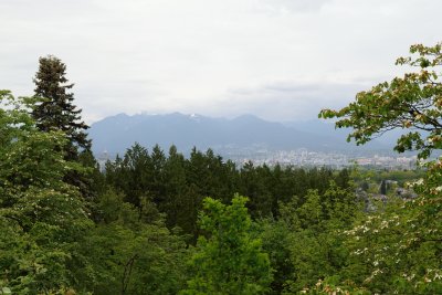View North From Bloedel Conservatory