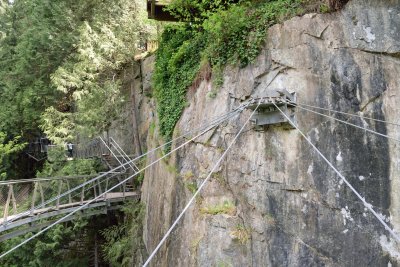 Cliff Walk Suspension Cables