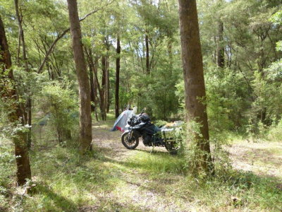 1404 Story Aussie Adventure Ride Lorraine 03 Beautiful campsites in the bush.jpg