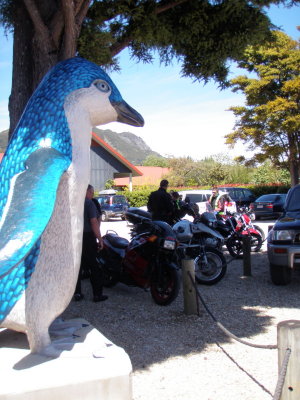 151025 Penguin Cafe Pohara 01.jpg