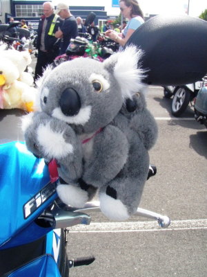 151205 Nelson Toy Run 13.jpg