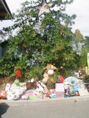 151205 Nelson Toy Run 74.jpg