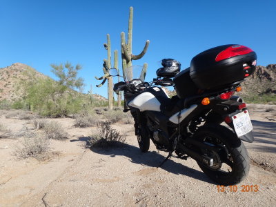 02 I aways wanted to see one of those - Arizona.jpg