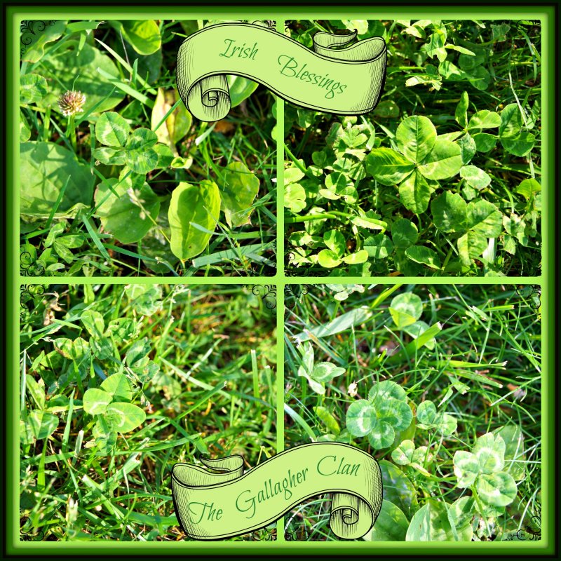 Irish Blessings