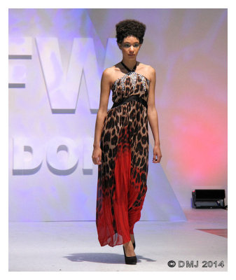 IMG_AFW1265.JPG