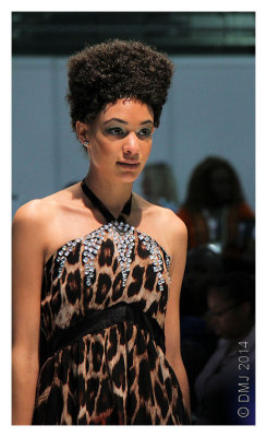 IMG_AFW1273.JPG