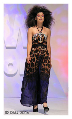 IMG_AFWL1278.JPG
