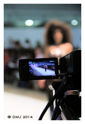 IMG_AFWL1284.JPG
