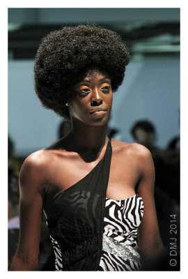 IMG_AFW1325.JPG