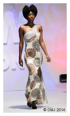 IMG_AFW1329.JPG