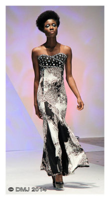 IMG_AFW1341.JPG