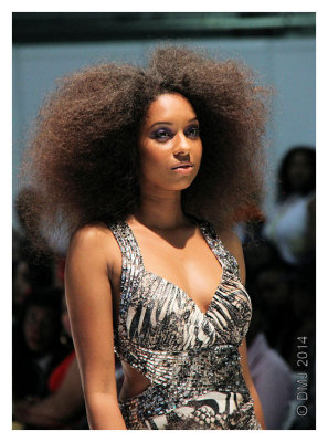 IMG_AFW1385.JPG