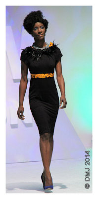 IMG_AFW1464.JPG