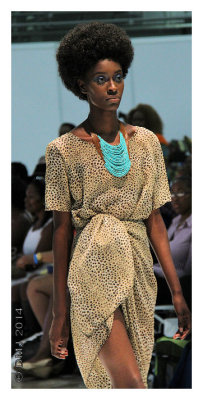 IMG_AFW1502.JPG