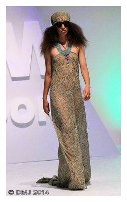 IMG_AFW1516.JPG