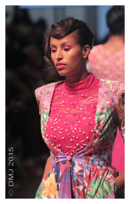 IMG_AFW9500.JPG