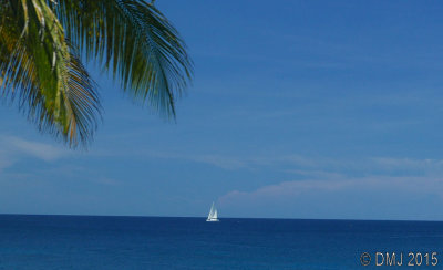 GP1010040.JPG