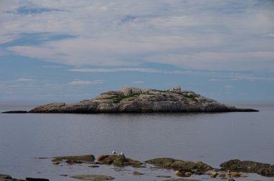 g9/90/553090/3/156524650.OOUVFQlc.jpg