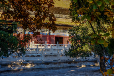 China_2014 (65 of 655).jpg