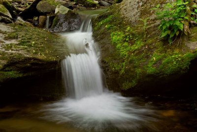 north_carolina