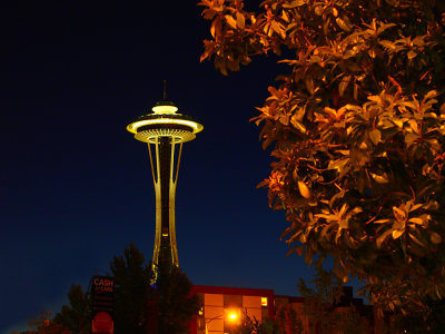 Night Needle Seattle