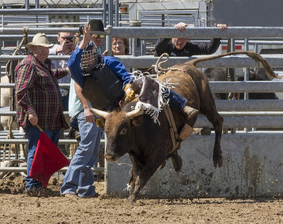 Cracker Rodeo Bull Ride 2 