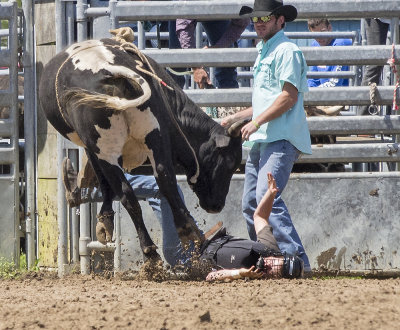 Cracker Rodeo Bull Ride 3 Fail