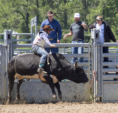 Cracker Rodeo Bull Ride 7 Winner