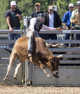 Cracker Rodeo Bull Ride 0 