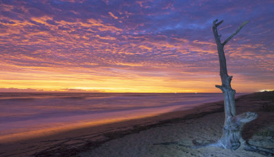 Flagler Beach Sunrise 