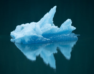 Fish Shaped Iceberg