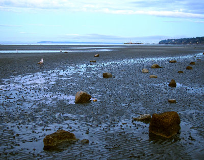 Mud Flats