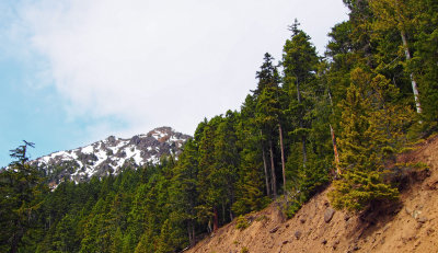 Olympic National Park