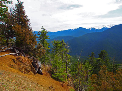 Olympic National Park 2