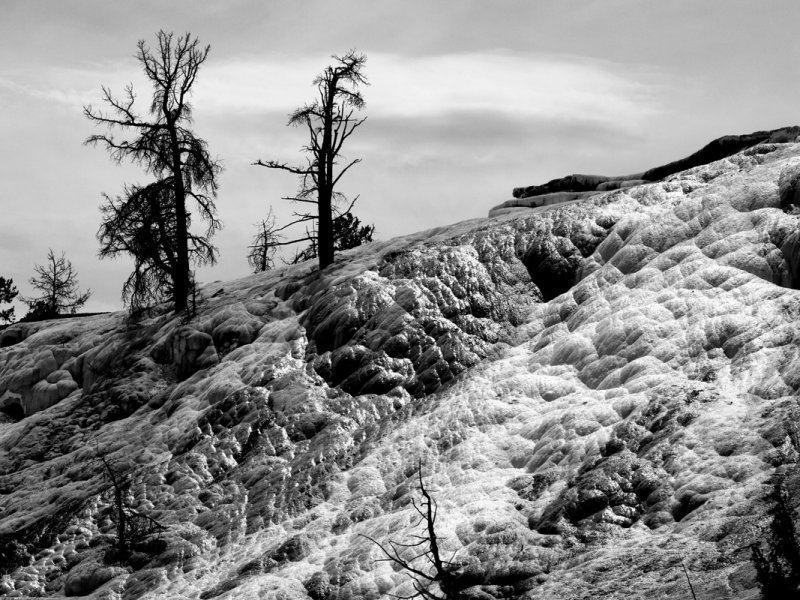 Mammoth Hot Springs Terraces-BnW 