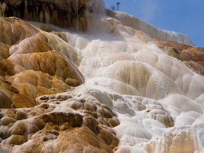 Mammoth Hot Springs Terraces_5