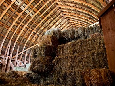 Gyla Sheffer Barn Huson MT 1924 