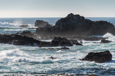 POINT LOBOS PARK, CA