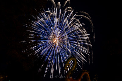 DSC_6136.jpg