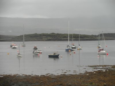 Tobermory harbour.JPG