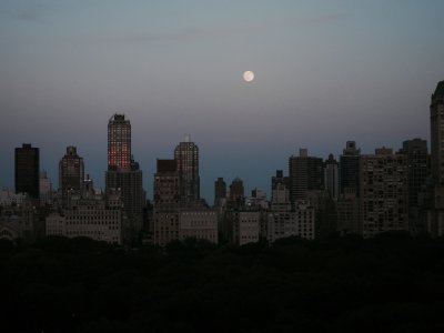 New York central park
