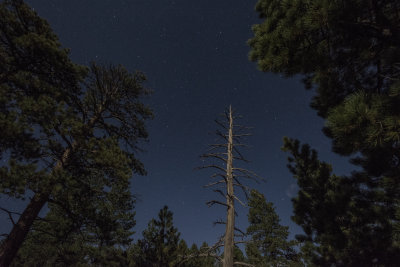 g9/90/749390/3/162448784.n80TZ35W.jpg